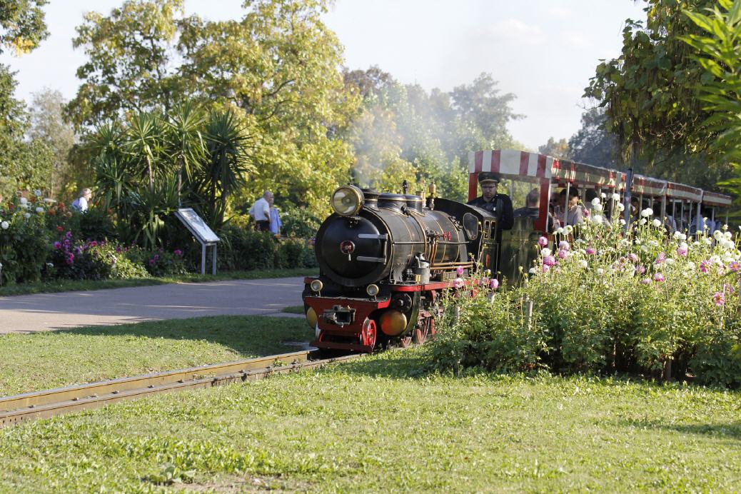 Kleinbahn neben der Dahlien Ausstellung