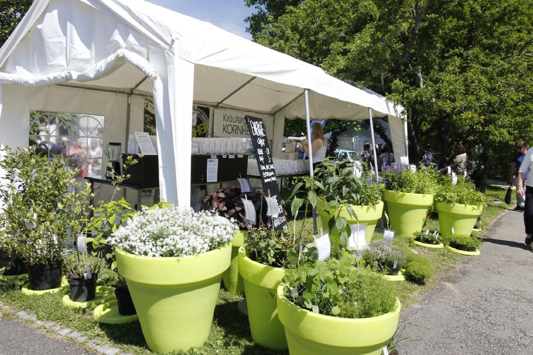 GardenLife 2019 Impressionen